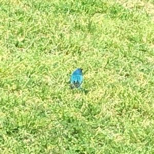 Meet your Posher, Cortnee